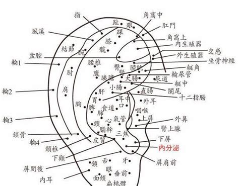 善字根 耳朵上長痣